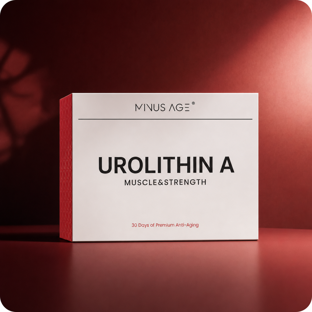 Unterstützung für Muskeln und Energie